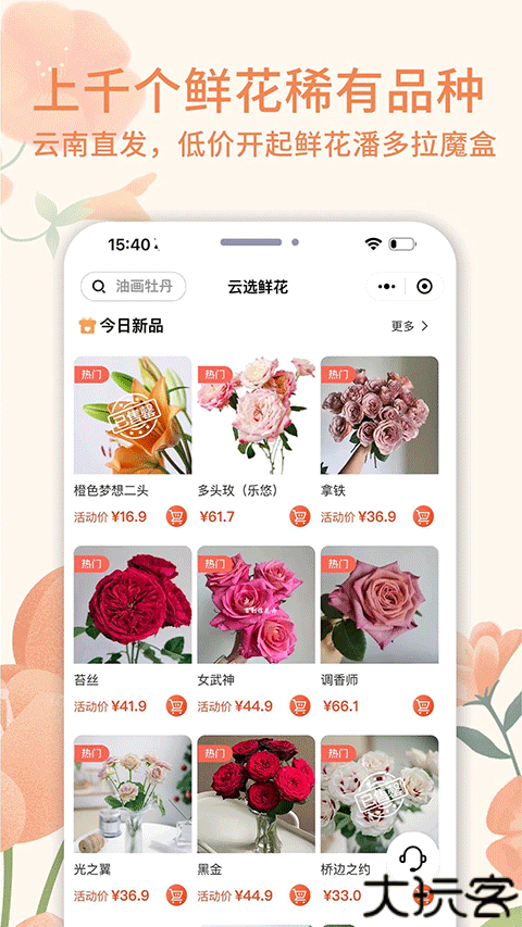 云选鲜花批发