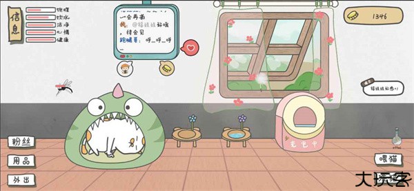 主播和猫的故事猫生病