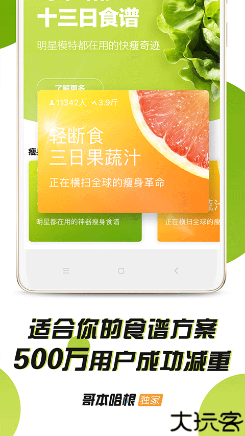 哥本哈根减肥法食谱13天食谱