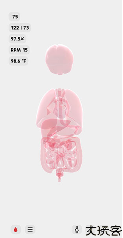 生命life中文版