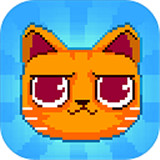 疯狂破坏猫中文版