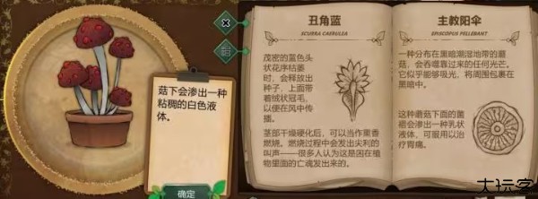 奇异园艺中文版
