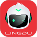 凌度行车记录仪车机版