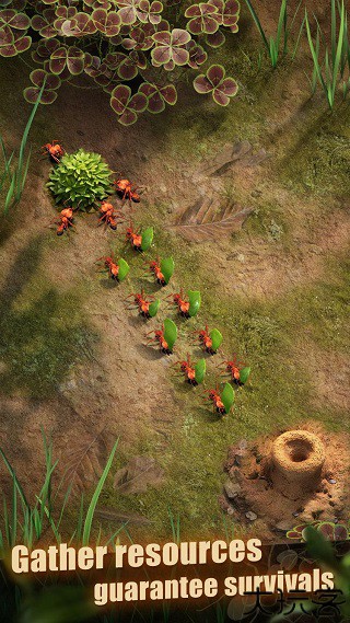 蚂蚁地下王国中文