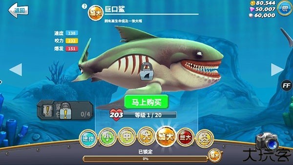 饥饿鲨世界图片