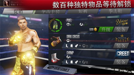 真实拳击2单机版