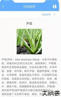 洋果扫描王手机版