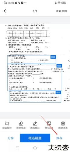 蜜蜂试卷16