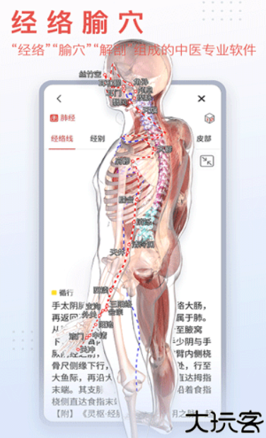 3dbody安卓版
