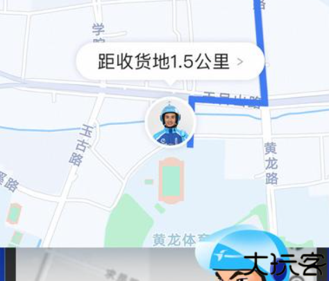 蜂鸟骑士专送版