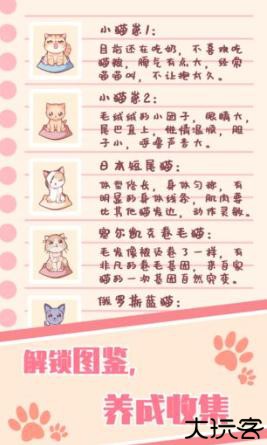 猫咪养成云