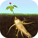 夺笋高手老版本