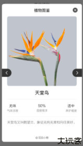 花田小憩app手机版