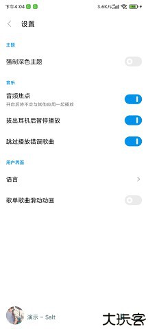 Salt Player播放器