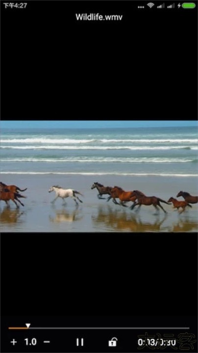 金沐文件助手app安卓版