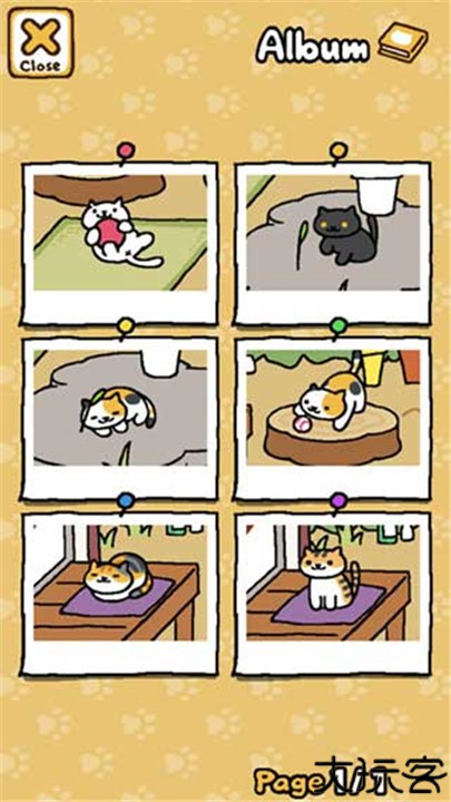 猫咪后院安卓汉化版