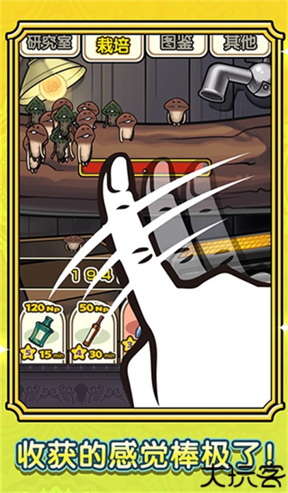 蘑菇花园安卓汉化版