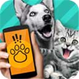 宠物对话翻译器手机版