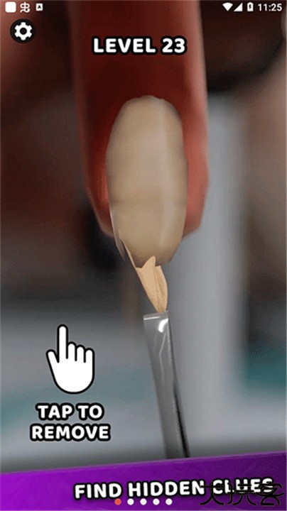 法医大师中文版