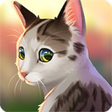 猫咪救援故事安卓版