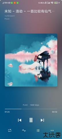 Salt Player播放器