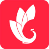 巅峰减重app安卓版