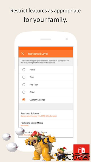 任天堂监管模式