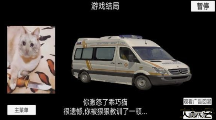 猫猫惊魂夜游戏