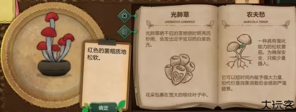 奇异园艺中文版