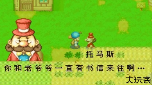 牧场物语矿石镇汉化版