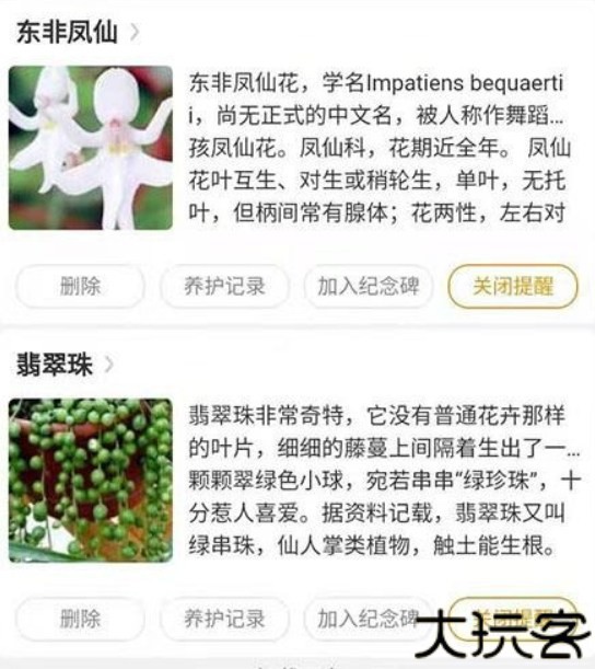 东篱花草辅助工具