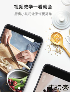 贝太厨房酵母