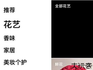 野兽派鲜花