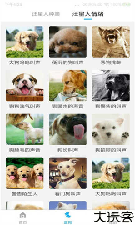 动物翻译器手机版