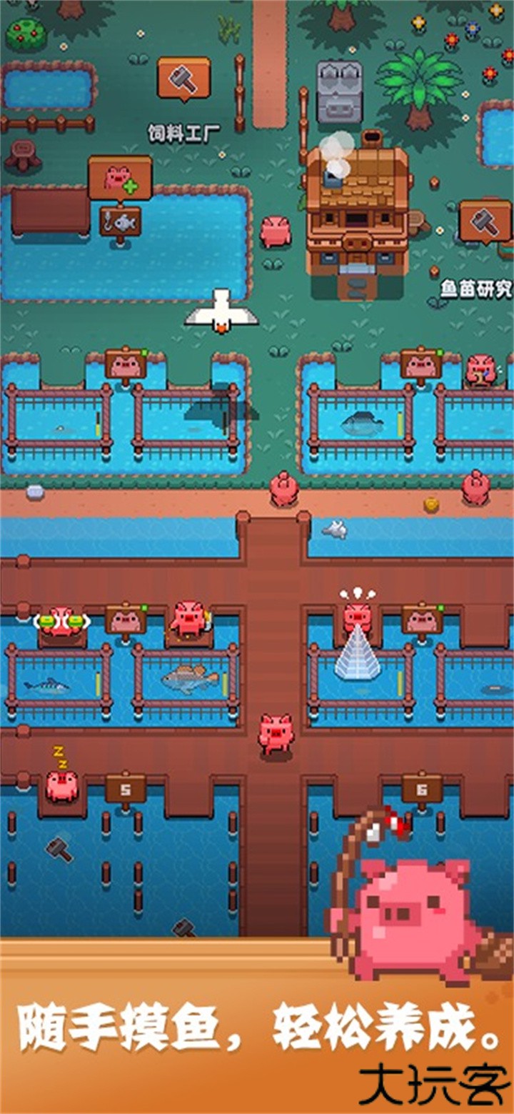 开拓猪之岛动物园