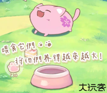 麻糬猫收藏疗愈的每一天