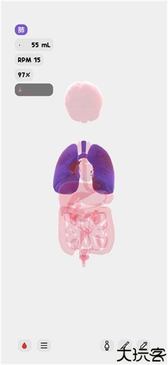 life生命模拟器安卓中文版