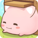 麻糬猫收藏MochiCat