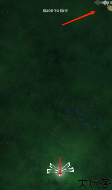 peppycat猫咪游戏