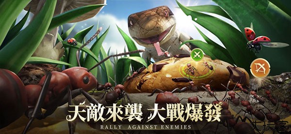 小小蚁国安卓版