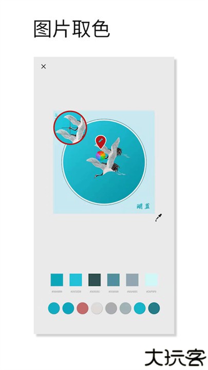 观色配色手机版