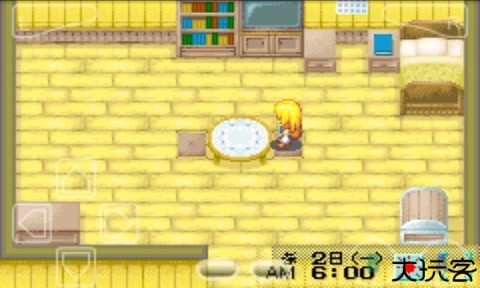 牧场物语女孩版