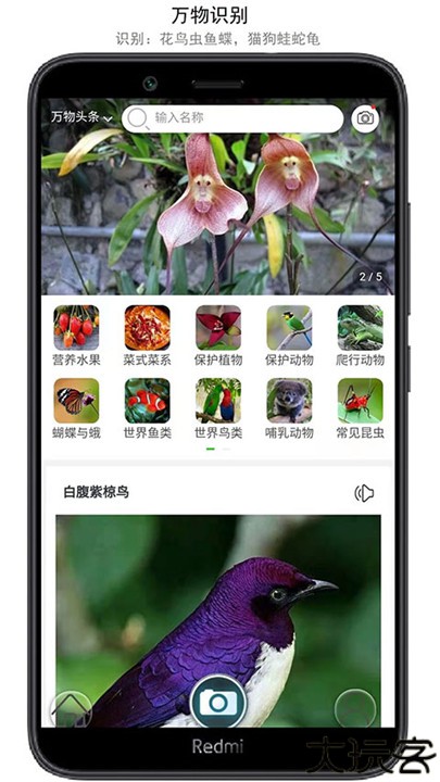 万物识别扫一扫