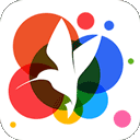 360小鸟壁纸安卓版