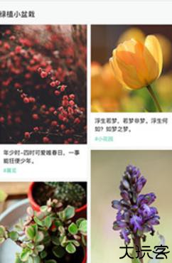 形色植物识别