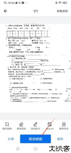 蜜蜂试卷13