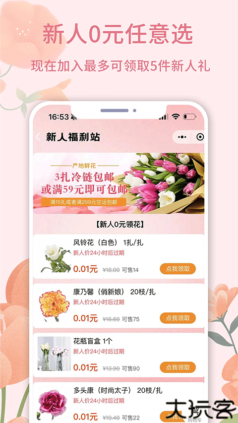 云选鲜花批发