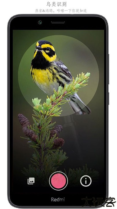 SketchMaster手机版