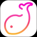 伴鱼音乐安卓版