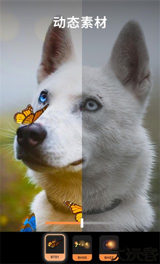 pixaloop安卓中文版